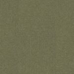 Foresta 2402