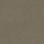 Tortora 7202